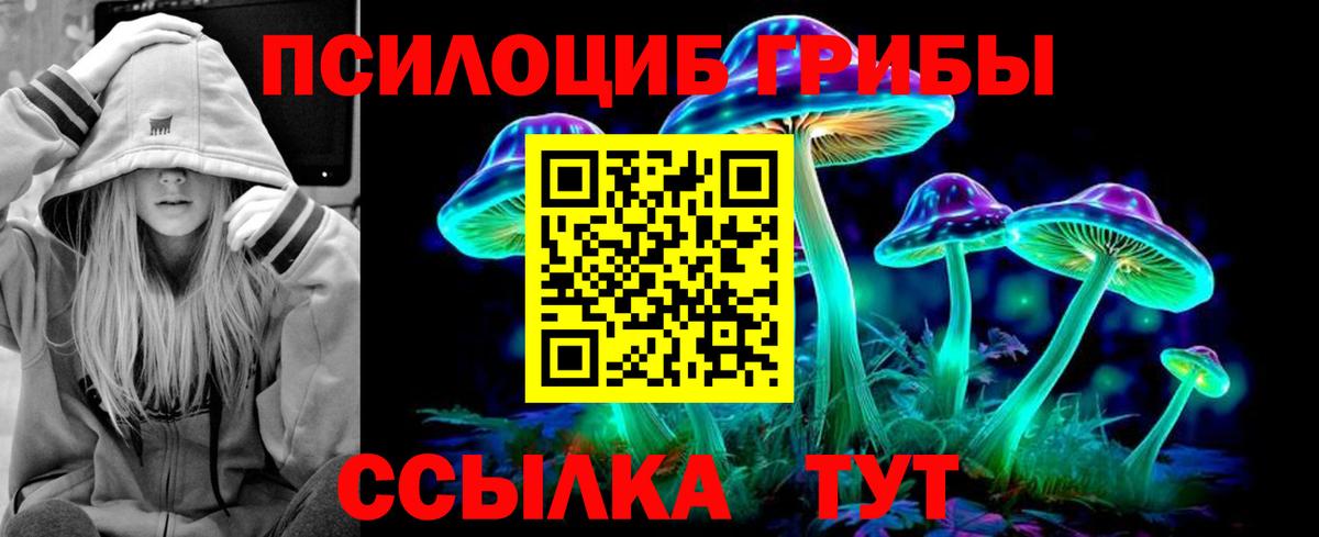 Псилоцибиновые грибы GOLDEN TEACHER Новый Уренгой